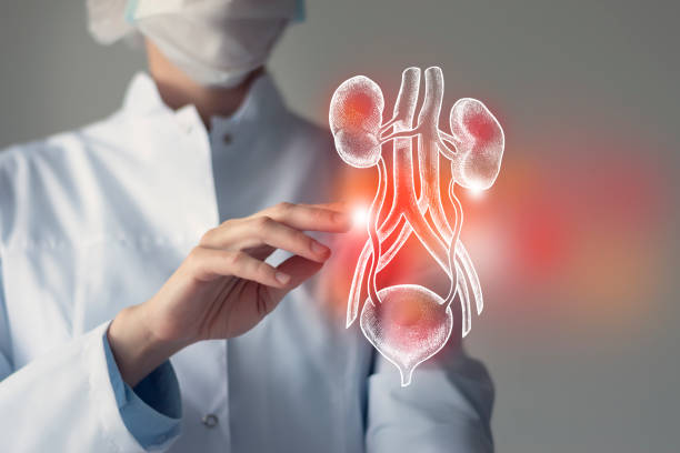 Best Kidney Transplant