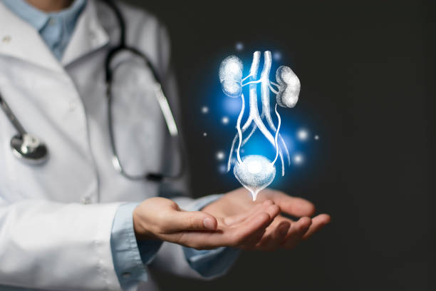 Nephrologist