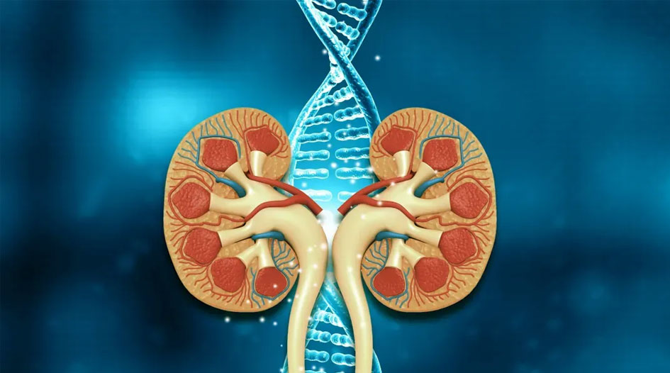 Diabetic Kidney Disease