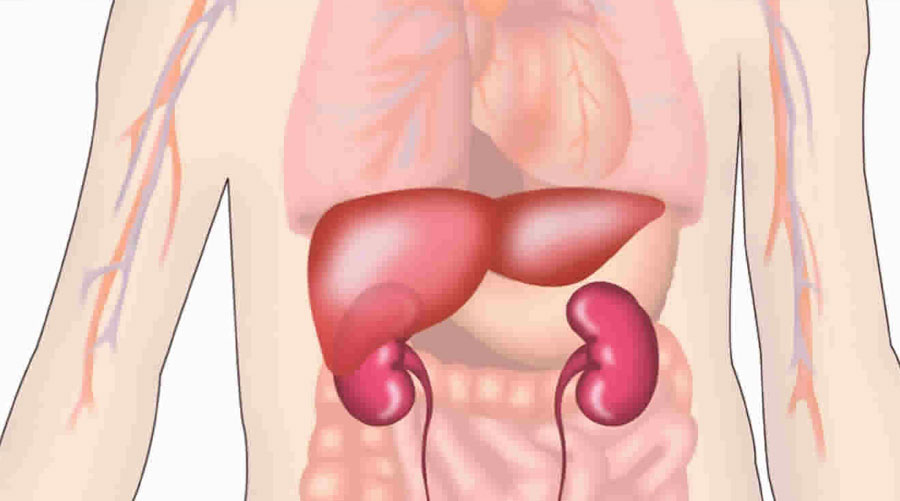 Diabetic Kidney Disease