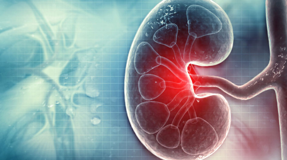 Diabetic Kidney Disease