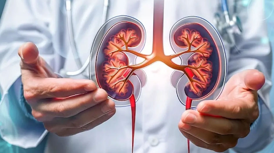 Diabetic Kidney Disease