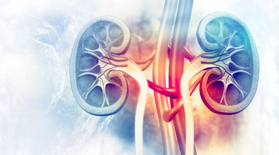 Diabetic Kidney Disease
